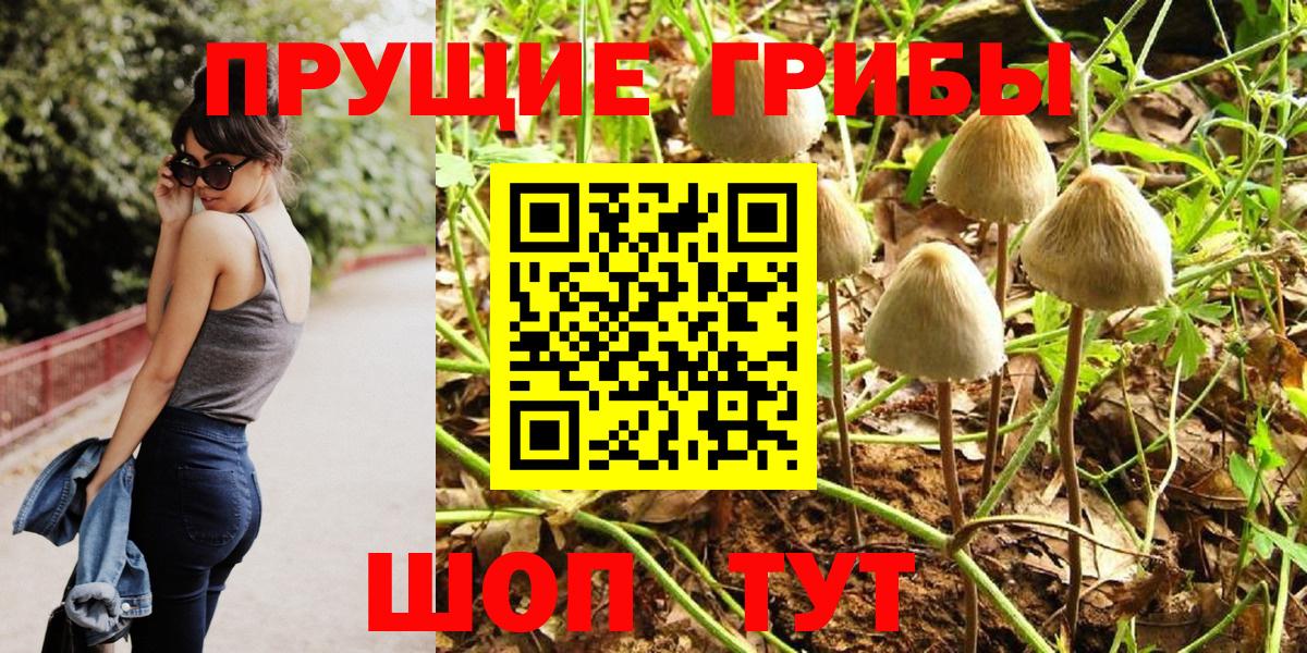 Хасавюрт  Псилоцибиновые грибы мицелий  Галлюциногенные грибы GOLDEN TEACHER  Вход с VPN 